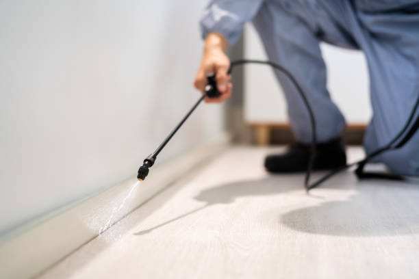 Bed Bug Pre-Treatment Preparation Assessment in James City