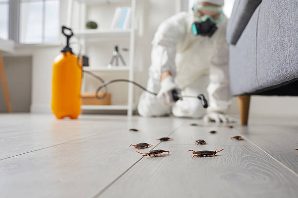 Post-Treatment Bed Bug Interceptor Monitoring in James City
