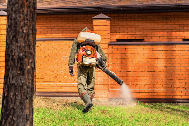 Bed Bug Clearance Verification and Documentation in James City
